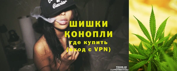 дурь Лагань