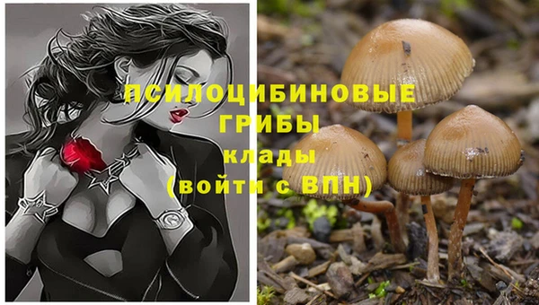 амфетамин Ладушкин