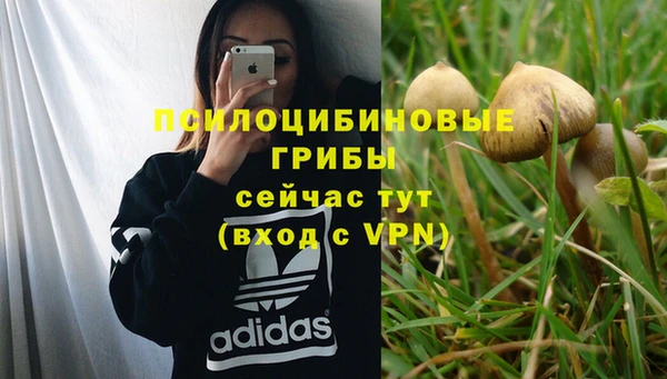 бошки Лабытнанги