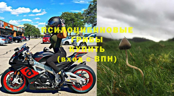бошки Лабытнанги