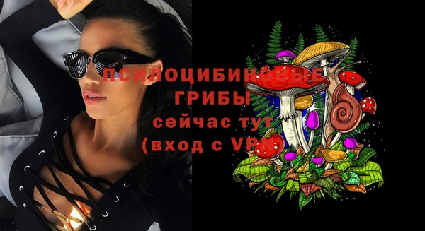 бошки Лабытнанги