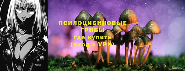 дурь Лагань